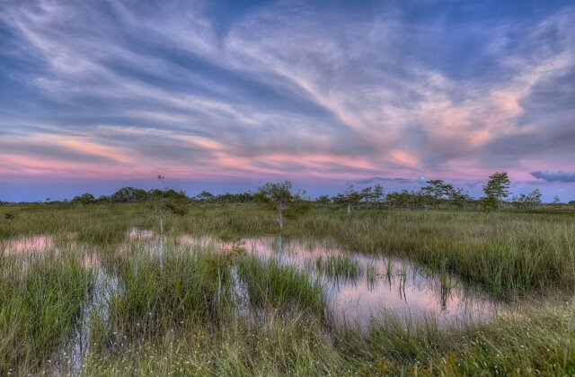 Sunset in the Everglades with reflections in the water