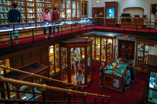 View of exhibits on two floors at The Mütter Museum in Pennsylvania
