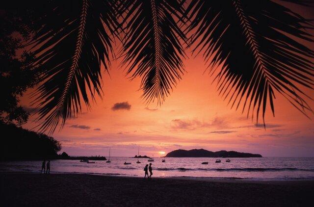 A couple walking along a beach at sunset.